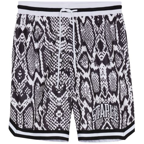 MESH BASKETBALL SHORTS – Capsul