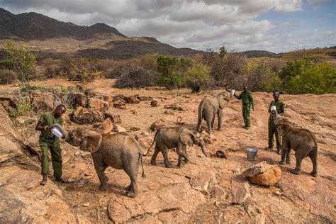 Image result for Automation Process Control Network Engineer