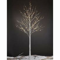 Image result for Greyleigh™ Pre-Lit Birch Tree 132 Light LED Lighted Trees & Branches In White | Size 96.0 H X 10.24 W X 10.24 D In | B000028346