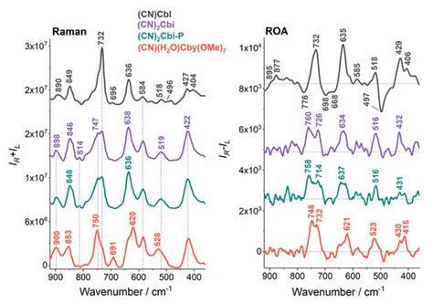 Resonance Raman Optical Activity Spectroscopy in Probing Structural ...