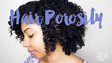 What Is Hair by Hair Porosity Basics Shea Moisture High Porosity What Is Hair