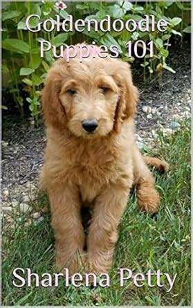Goldendoodle Puppies 101 (Goldendoodle part 1) eBook : Petty, Sharlena ...