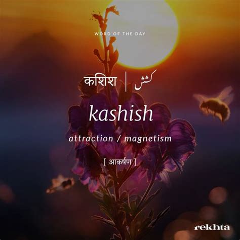 13 Heartfelt Urdu Words For All Things Love That Prove It's The Most ...