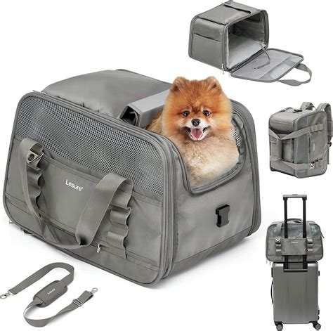 The Best Airline-Approved Pet Carriers - CitizenShipper Blog