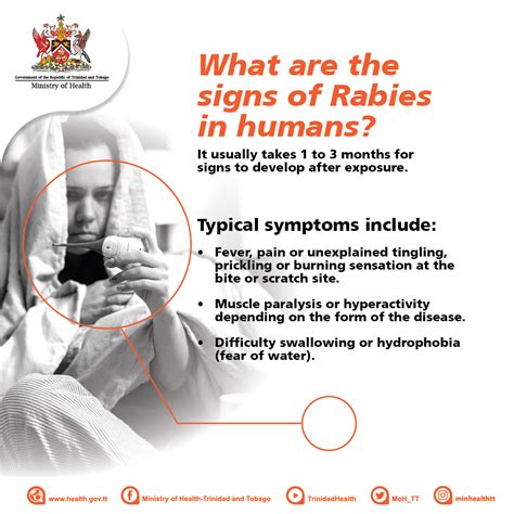 Signs of Rabies in Humans | Ministry of Agriculture, Land and Fisheries