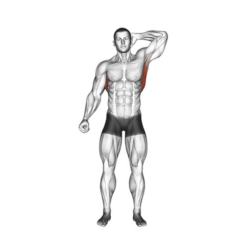 Kneeling Lat Stretch: Benefits, Muscles Worked, and More - Inspire US