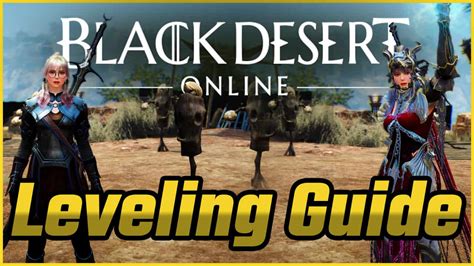 Image result for Leveling Guide Purdance