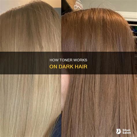 How Toner Works On Dark Hair | ShunSalon