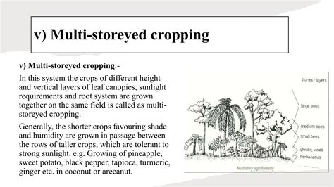 Image result for Cropping System Types
