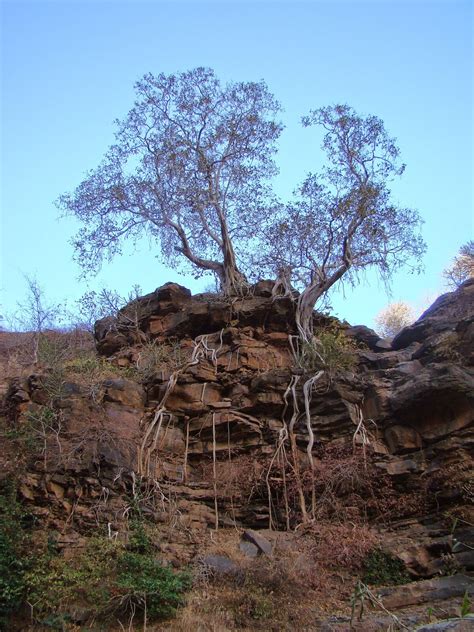 Shergarh or Badal Garh Fort in Patna | Bihar Tourism