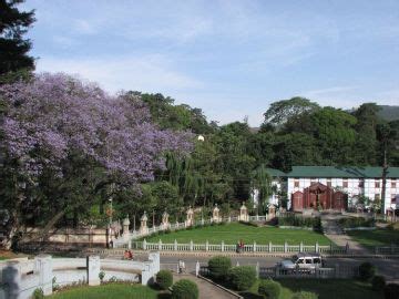 Ecstatic 2 Days 1 Night Shillong Wildlife Vacation Package | Shillong ...