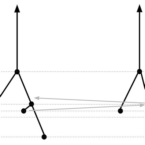Merge Trees Algorithm 的图像结果