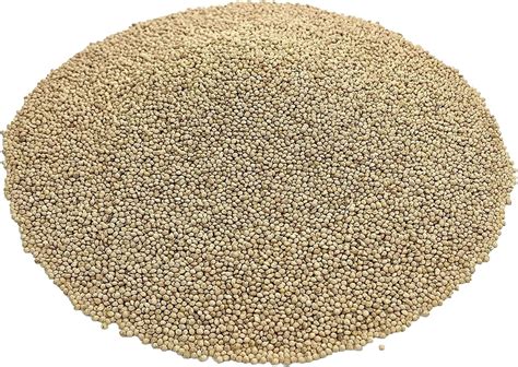 CZ Grain Premium White Millet Proso Seeds - Bulk Seeds, Bird Feed, Wild Bird Food (12 Ounces ...