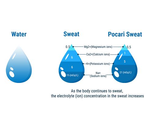 Why Does My Sweat Leave Salt at Alannah Baylebridge blog