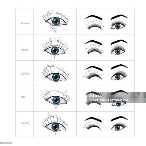 Eyelash Extensions Tutorial 的图像结果