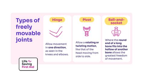 Image result for Musculoskeletal System Joints