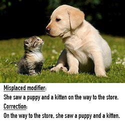 Image result for Misplaced Modifier Animals. Examples