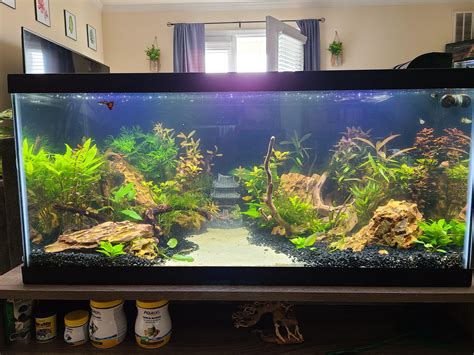 40 Gallon Tank Measurements