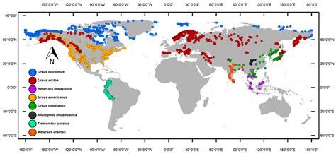 Bears into the Niche-Space: Phylogeography and Phyloclimatic Model of ...