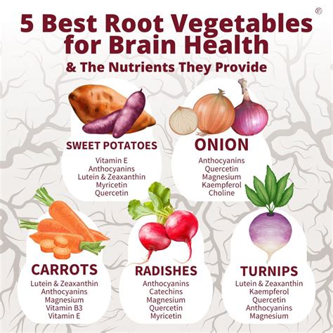 Root Vegetables List All You Need To Know About Root Vegetables (Full