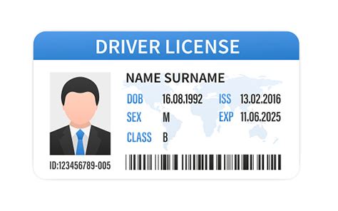 Identification 的图像结果