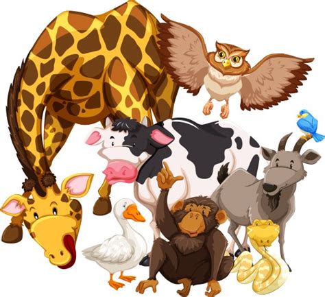 Image result for Python Animals Vector