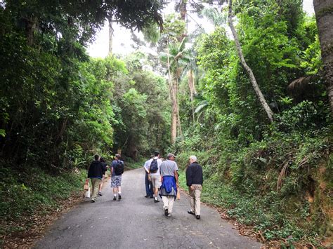 Harvard-Brazil OEB Symposium, October 2015 | Farrell Lab - Entomology ...