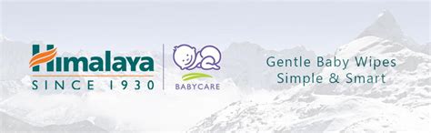 Himalaya Gentle Baby Wipes (24 Sheets) : Amazon.in: Beauty
