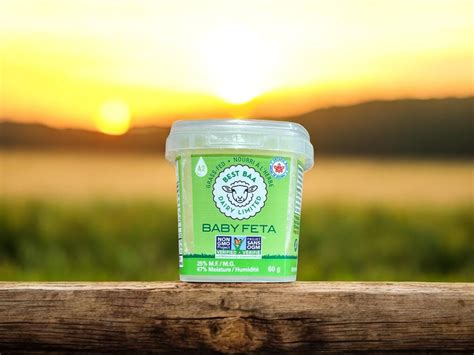 Baby Feta (Sheep Milk Feta) - 60g - Wild Meadows Farm Ltd.