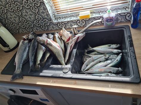 Awesome Fishing (Dale) - 2022 What to Know Before You Go (with Photos ...