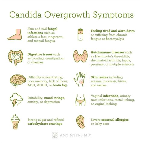 Yeast infection throughout body. Invasive Candidiasis: Causes, Symptoms ...