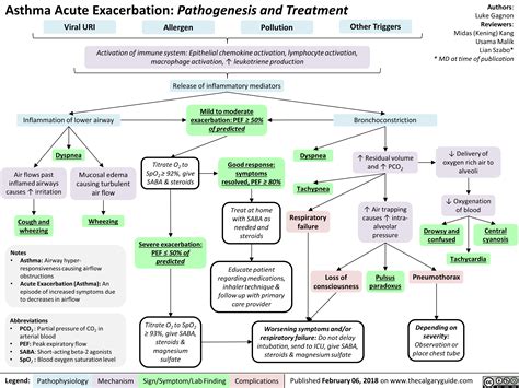 Asthma Acute Exacerbation: Pathogenesis and Treatment | Calgary ...