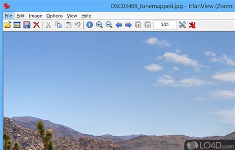 Image result for IrfanView Explorer