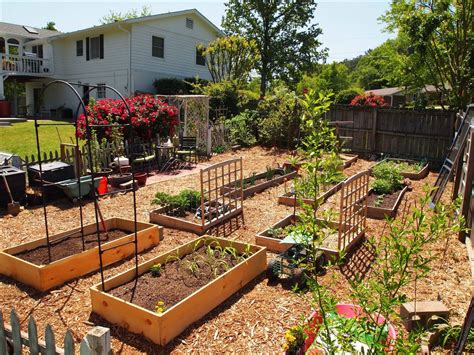 22 Small Front Yard Vegetable Garden Ideas You Cannot Miss | SharonSable