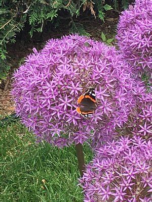 BIRD HOUSE INN AND GARDENS (Excelsior) - B&B Reviews & Photos - Tripadvisor