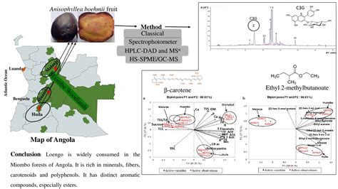 Physicochemical and Compositional Characterization of a Wild Fruit from ...