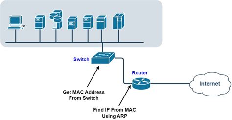 Network Device Mac Addresses Packet 的图像结果