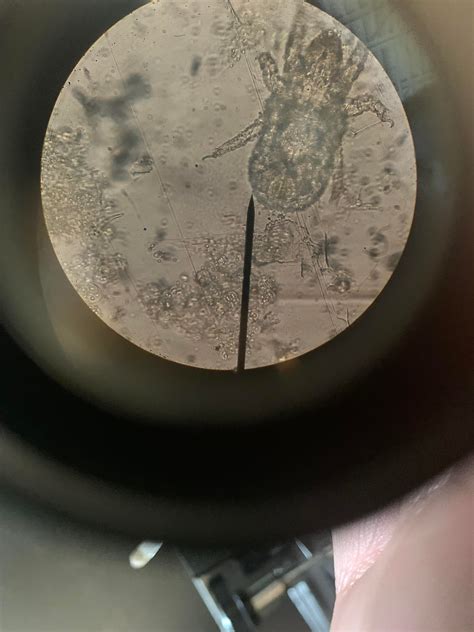 Universal Apps? : r/microscopy