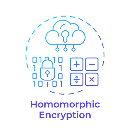 Image result for Homomorphic Encryption Icon