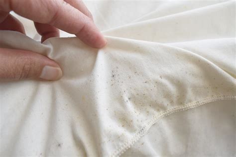 Mould on Clothes? Save Your Favorites with These Tips | Vanish IN