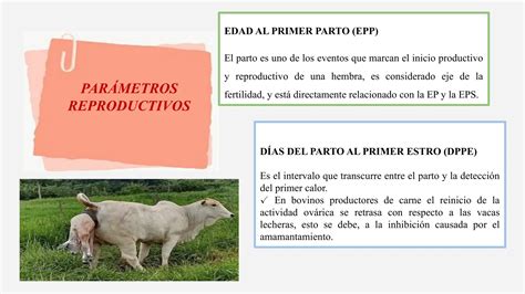 Image result for MATLAB Fsolve Example