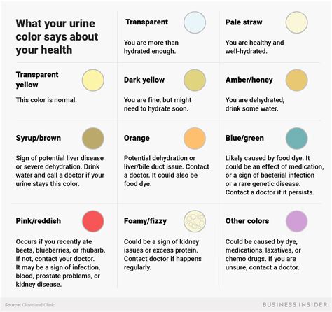 Meaning Of Different Urine Colors at Gale Chase blog