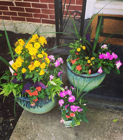 Flowers With Partial Sun