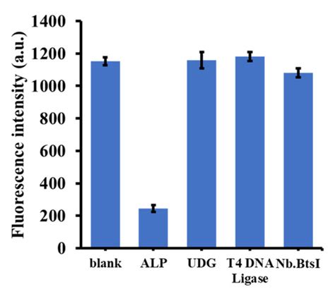 An Exonuclease I-Aided Turn-Off Fluorescent Strategy for Alkaline ...