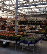 Image result for Lowe's of Morehead