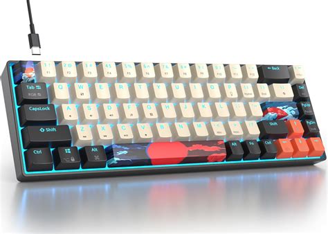 Fogruaden RGB Wired 60% Percent Keyboard Mechanical, 68 Keys Gaming ...