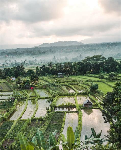 When Is Season In Bali