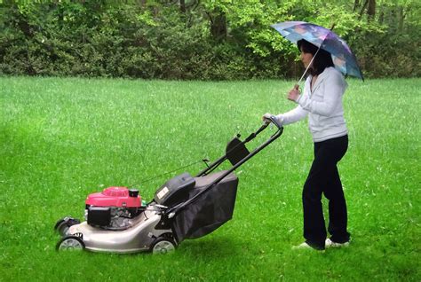 Great Ideas On Mowing A Wet Lawn - Home Improvements