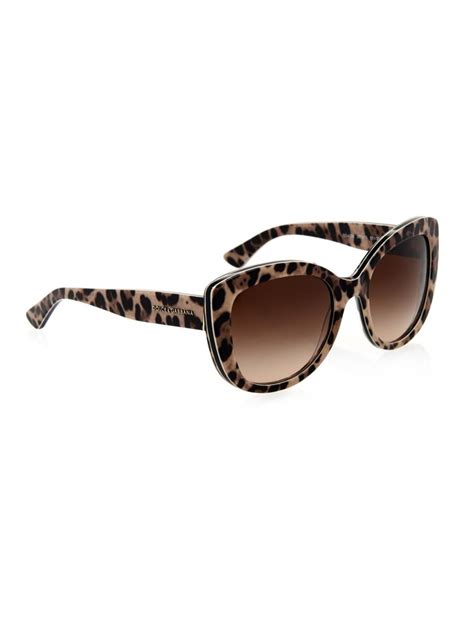 Womens Leopard Print Glasses at Pearl Peterson blog