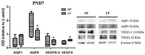 Cells | September 2019 - Browse Articles